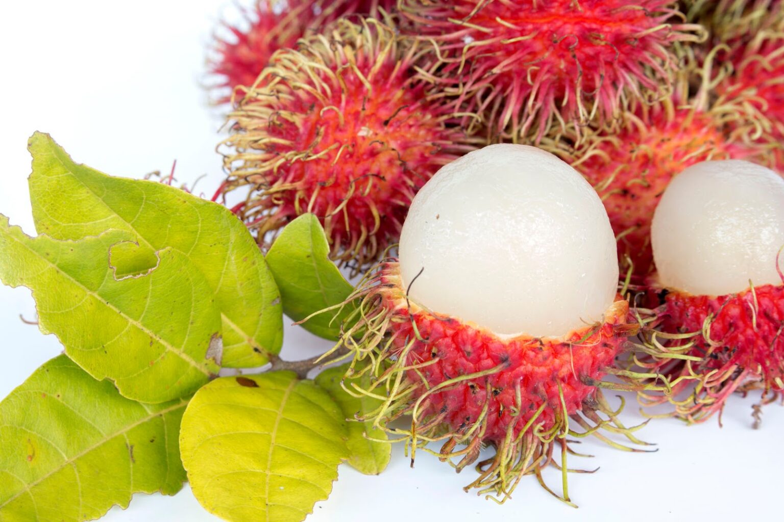 Tudo sobre Rambutan, uma superfruta - Mundo Agro