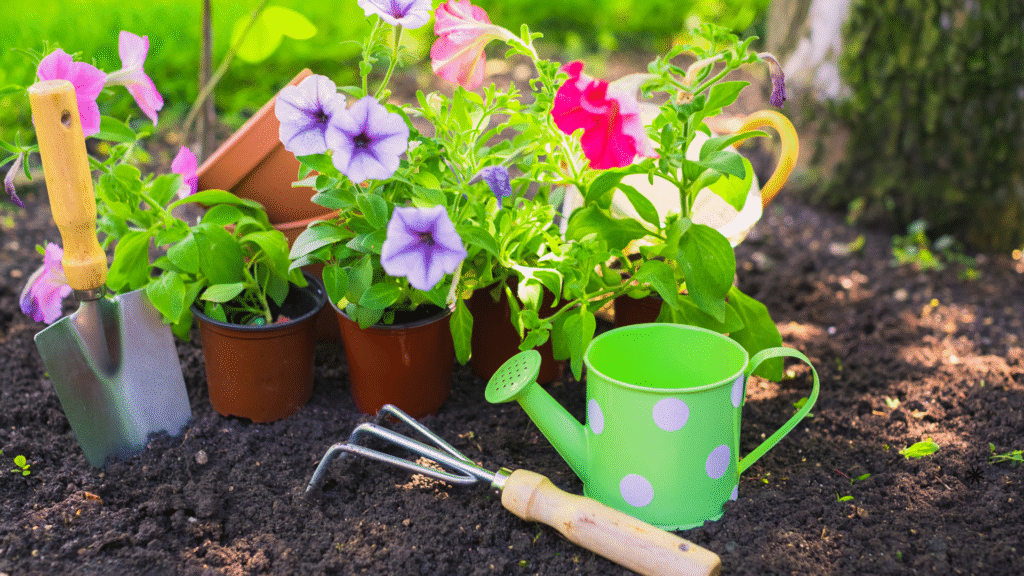 Plantas fáceis de cultivar: por onde começar se você é iniciante na jardinagem
